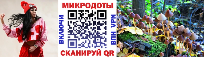 Галлюциногенные грибы мицелий  Купить закладки  Рыбинск 