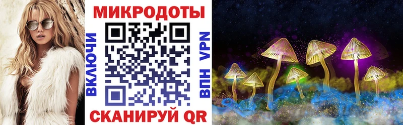 Псилоцибиновые грибы Cubensis Рыбинск
