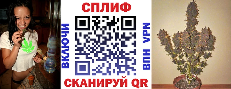 Купить где  Рыбинск  Конопля индика 